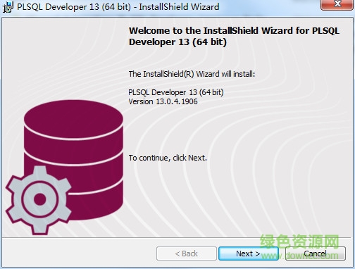 plsql developer 13����
